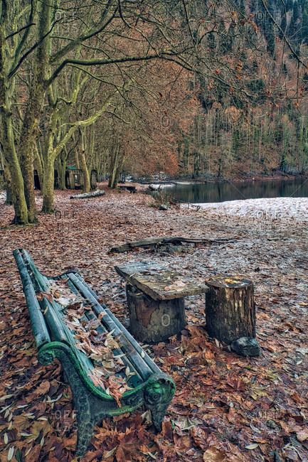 Empty bench on leaf covered shore of Lake Ritsa in autumn