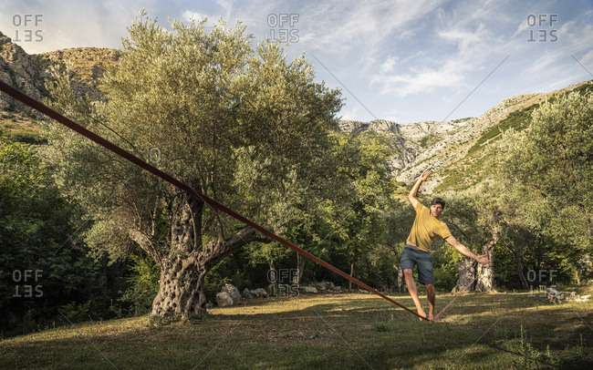 Man walking on slackline between old olive trees in landscape