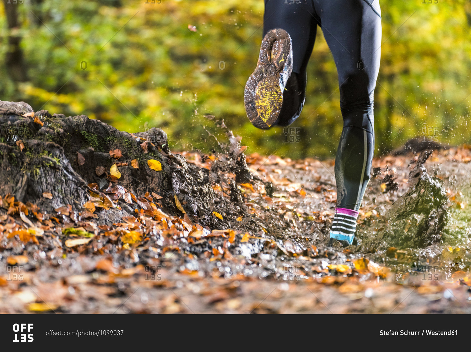 Male trail runner running through mud in autumn forest at Kappelberg- Germany