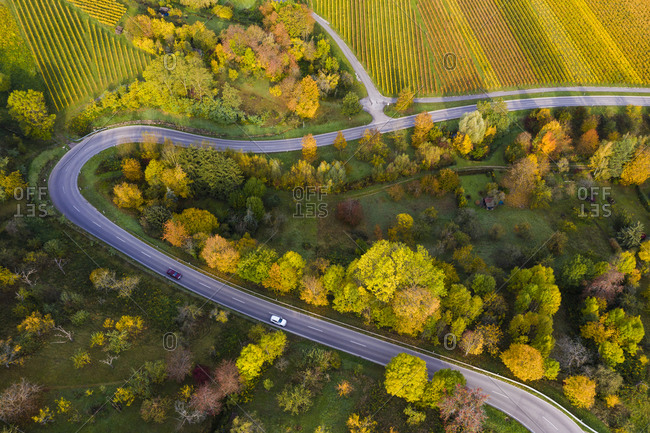 Aerial view of country road winding between autumn vineyards- Baden-Wurttemberg- Germany