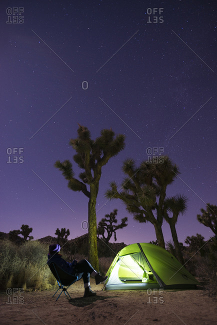 Glowing tent while camping and Joshua Trees silhouetted against a night sky  in Joshua Tree National Park
