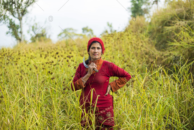 Portrait of a Nepali woman holding a sickle working in a millet field