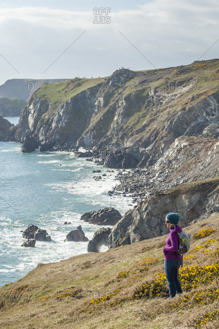 A woman looks out over dramatic Cornish coastline near Kynance Cove on the Lizard Peninsula in the British Isles