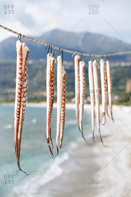 Octopus tentacles hanging up to dry on the Mani peninsula in the Peloponnese in Greece