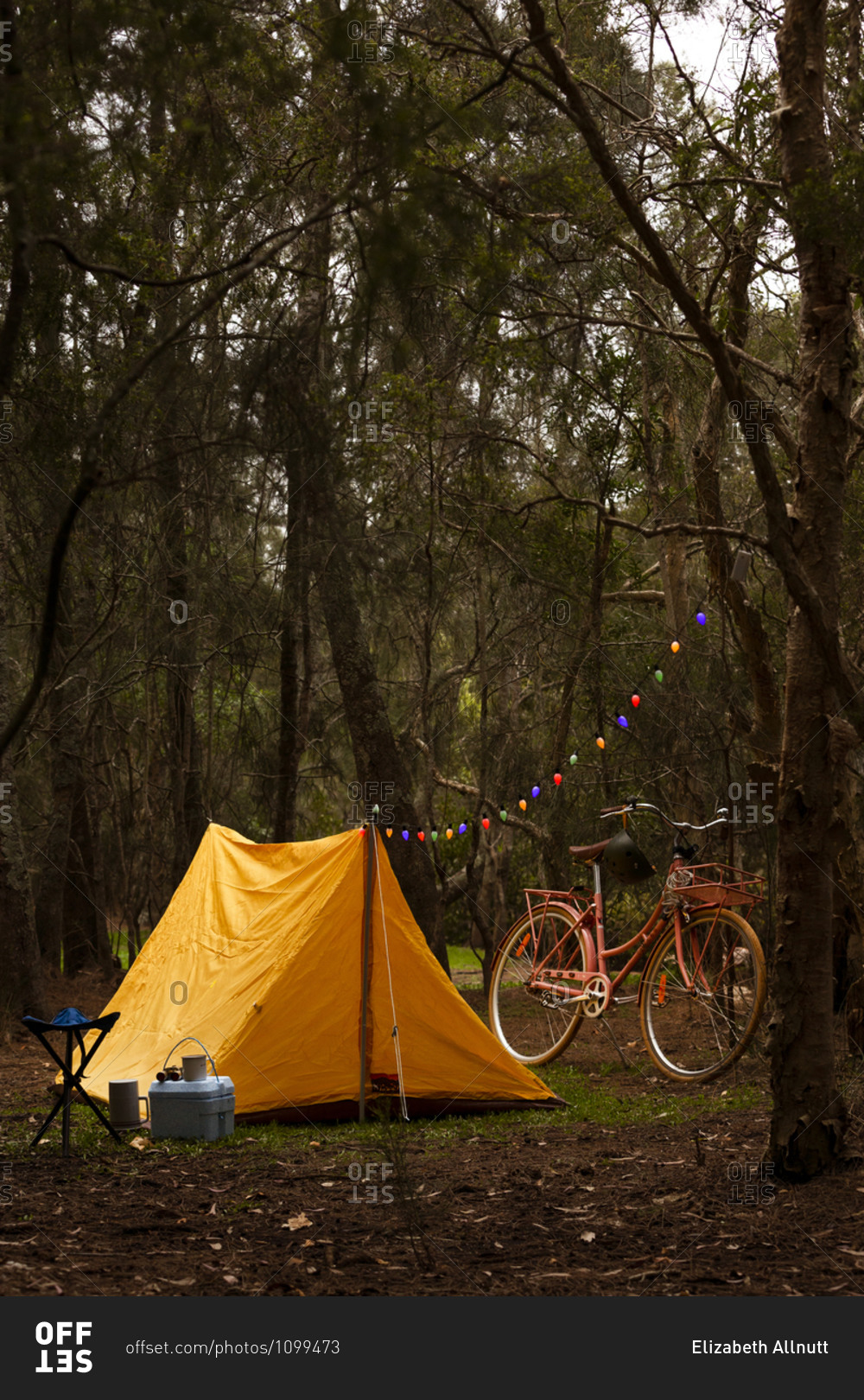 Yellow tent with strand of colorful lights attached to tree beside retro pink cruiser bike