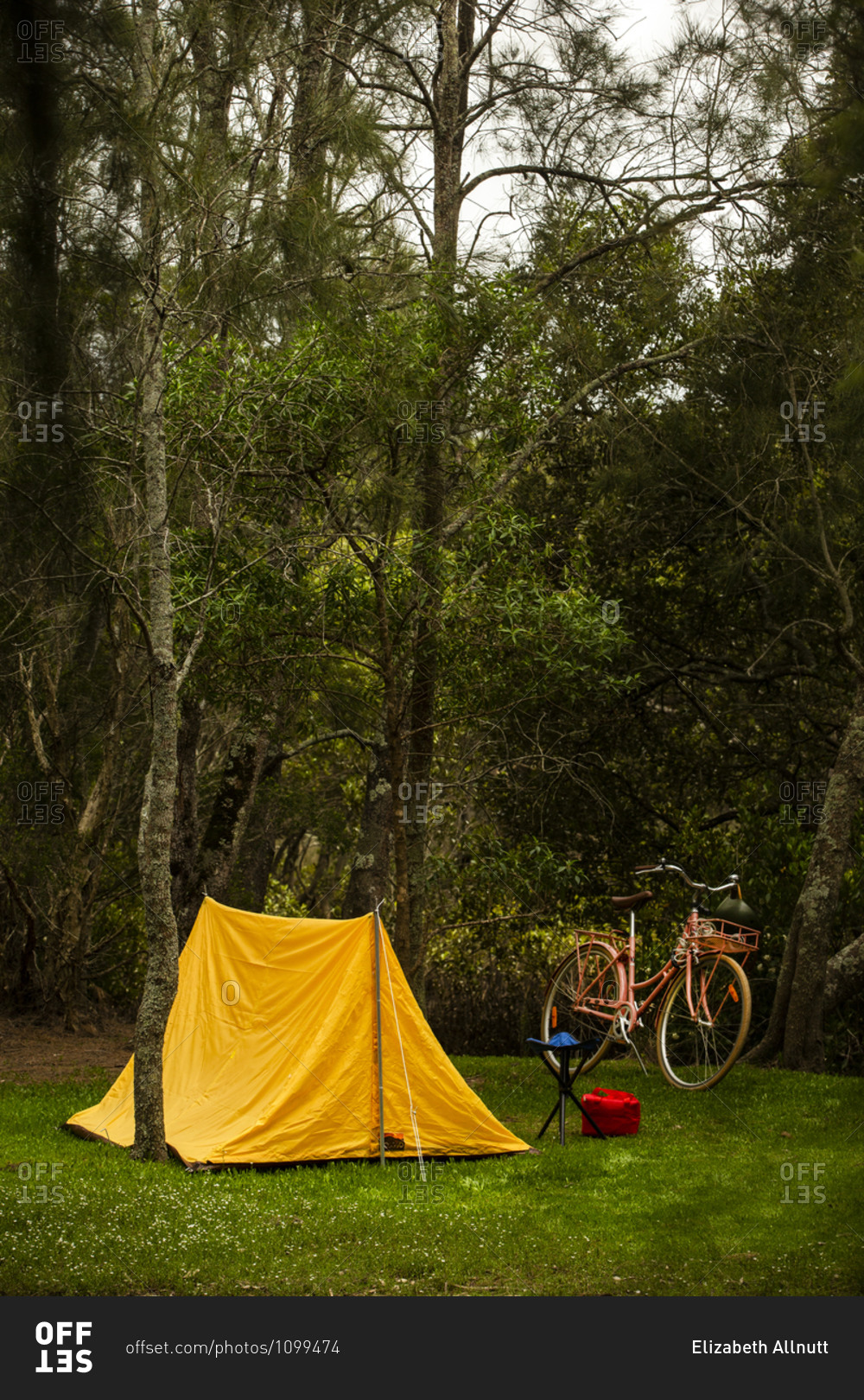 Yellow tent beside retro pink cruiser bike in the grass