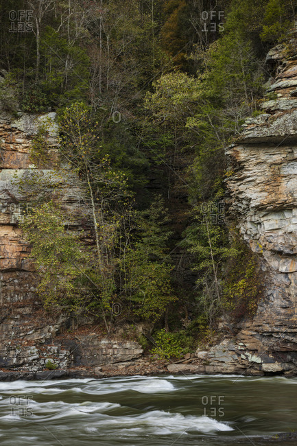 Trees on the rocky hillside at the Gauley River National Recreation Area, Fayetteville, West Virginia