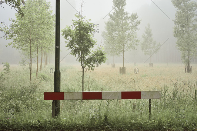 Fog surrounding a red and white barricade in front of trees in the countryside