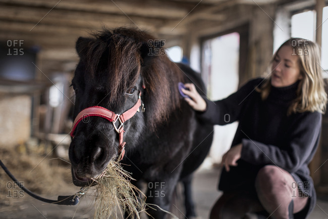 Woman brushing horse in stable
