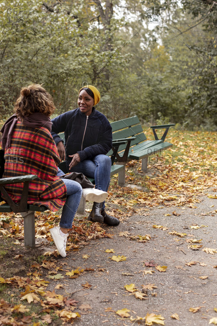 Female friends talking on bench in park