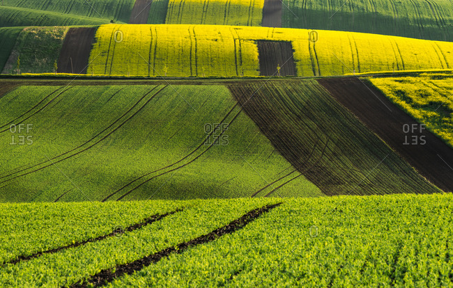 Idyllic view of rolling fields near Kyjov, Hodonin District, South Moravian Region, Moravia, Czech Republic