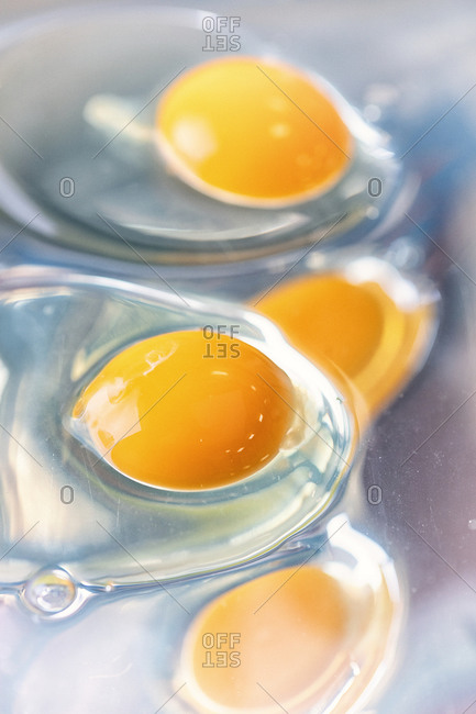 quality control of eggs in a chemical laboratory