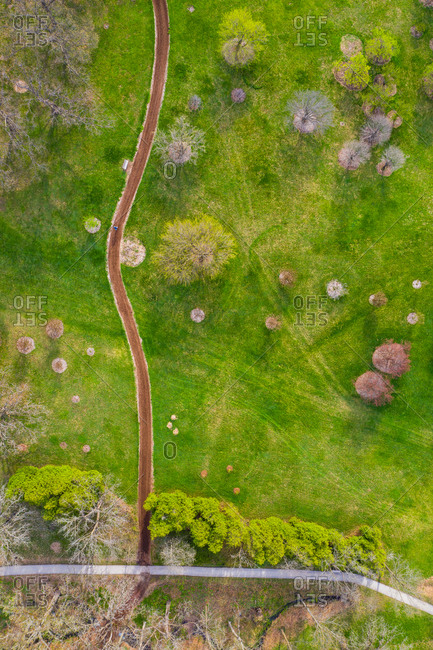 Aerial view of trees blossoming in springs at the Morton Arboretum in Chicago, Illinois, United States of America.