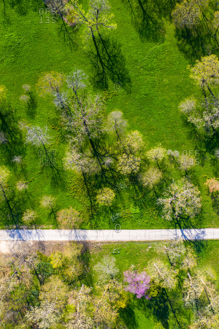 Aerial view of trees blossoming in springs at the Morton Arboretum in Chicago, Illinois, United States of America.