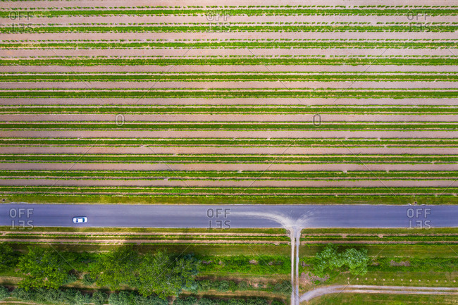 Aerial view of abstractions at a vineyard at Niagara on the Lake in Canada in early spring.