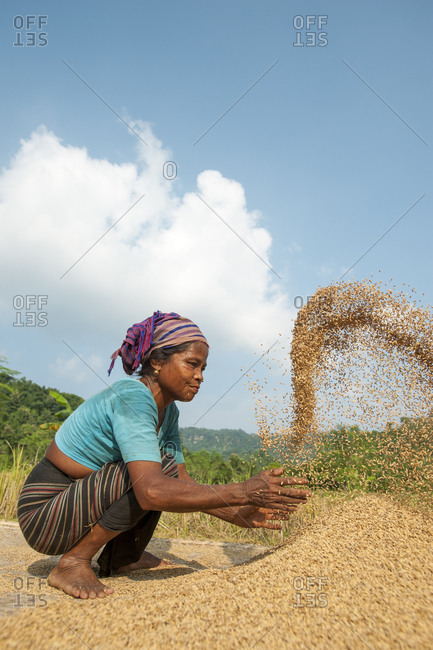 A woman in the Chittangong Hill Tracts throws rice up into the air with her hands while someone else fans air through it to clear away the lighter chaff or husks