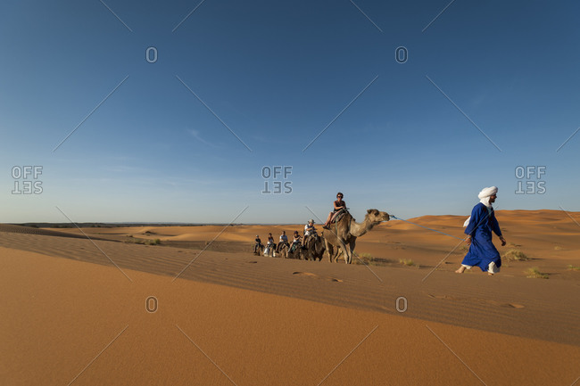 Erg Chebbi, Merzouga, Western Sahara, Morocco - June 10, 2012: A Tuareg leads tourists riding camels through the Sahara desert
