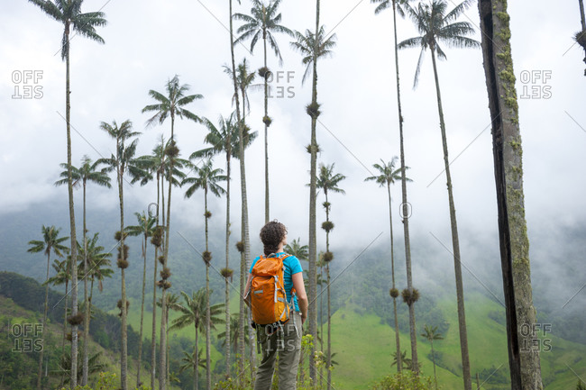 mountain jungle mist stock photos - OFFSET