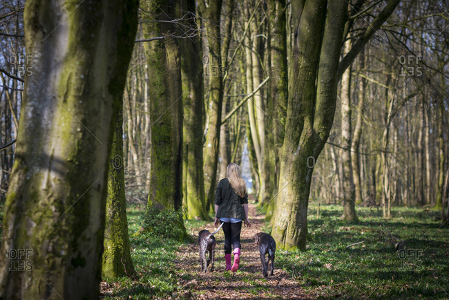 A young girl with her German Shorthaired Pointer in the woods