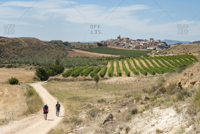 Pilgrims walking the trek called the Camino de Santiago, also known as The Way towards little village of Cirauqui