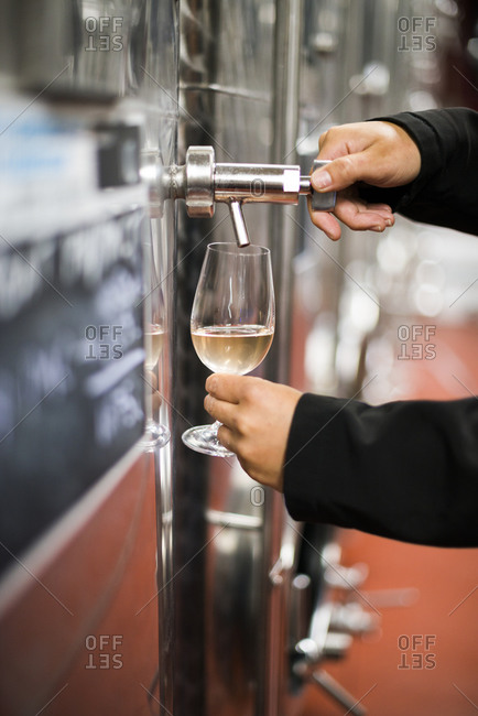 Ditchling Common, East Sussex, United Kingdom - October 6, 2015: A woman working in a winery in England pours a sample of white wine from a tank