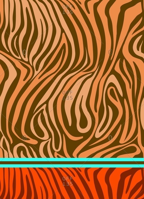 Zebra print with stripe border and contrasting animal pattern