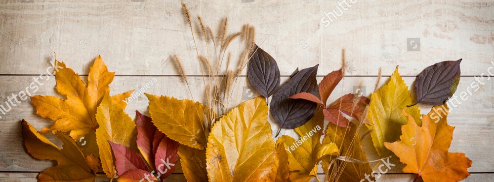 Facebook cover. Autumn background - yellow and red autumn leaves on a light wooden background.
