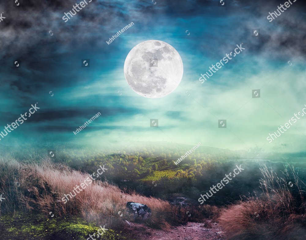 Night time sky nature landscape with moon Vector Image