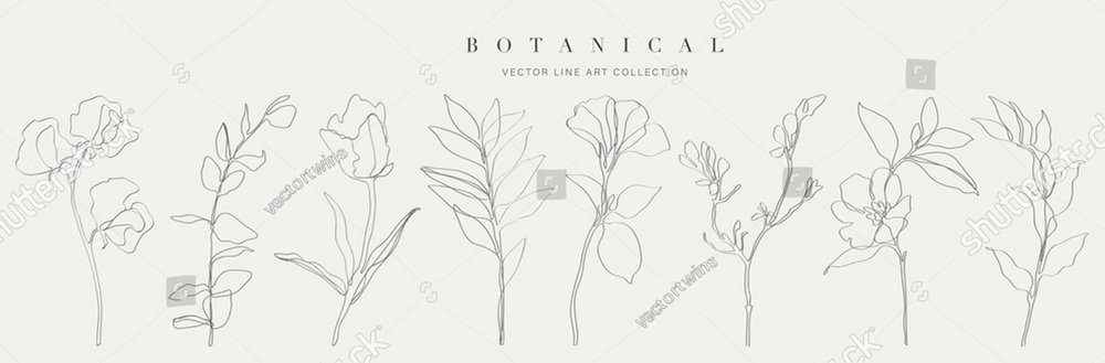 Artes botánicas. Dibujo manual de línea continua de flor abstracta, floral, rosa, hojas tropicales, hojas de primavera y otoño, ramo de aceitunas. Ilustración vectorial.