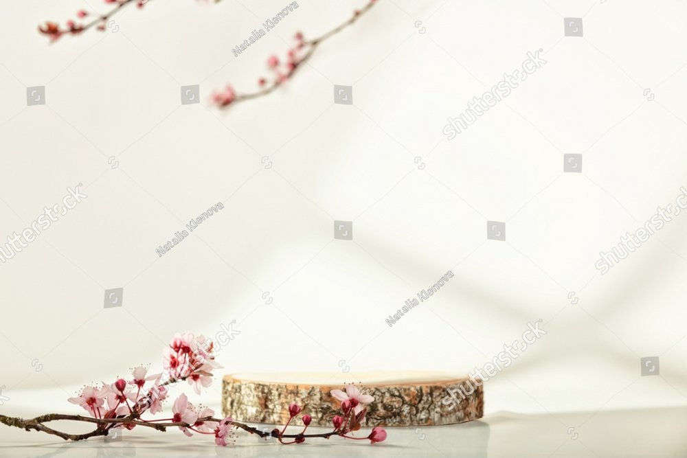 Minimal modern product display on white background. Wood slice podium and spring brunches. Concept scene stage showcase for new product, promotion sale, banner, presentation, cosmetic