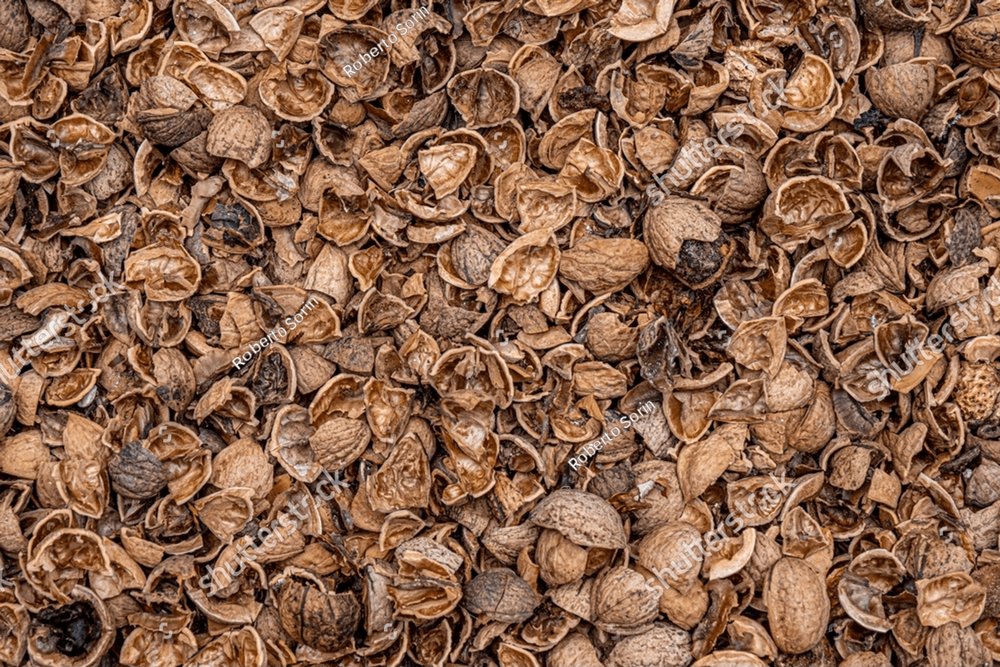 crushed walnut shells on old Jute sack to be used as fertilizer for plants.  decomposing walnut shells release nutrients such as iron. zinc, potassium,  sodium and phosphorous Food Images