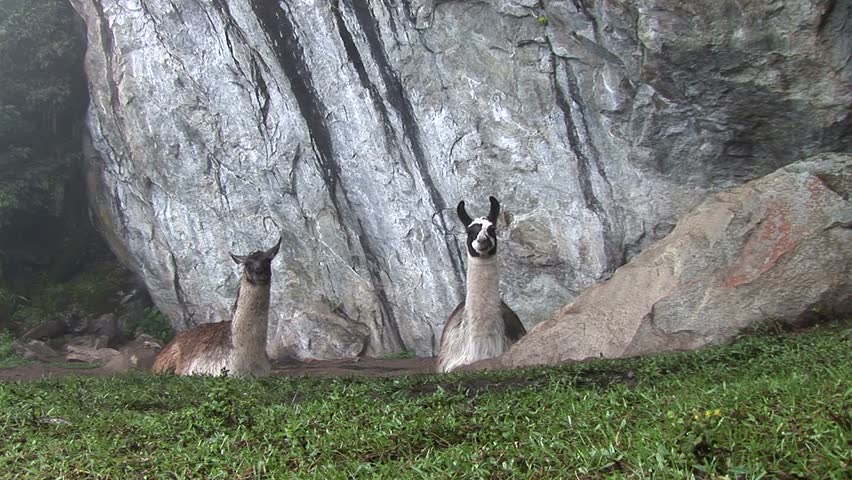 Inca City of Machu Picchu in the Andes of Peru in the Year 2007