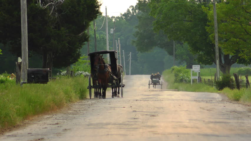 Amish People Traveling in a Rural Area