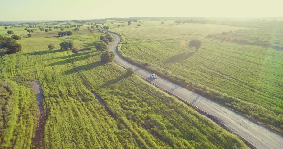 4K aerial footage of a car riding on a road between green fields in the sun set. Royalty-Free Stock Footage #10036715