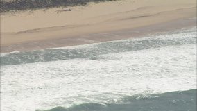 AERIAL France-Coastline South Toward Mimizan 2006: Waves breaking over sand beach