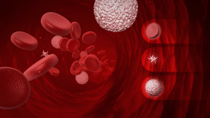 Кровь без плазмы. Клетки крови тромбоциты. Плазма эритроциты лейкоциты тромбоциты. Плазма крови под микроскопом. Плазма клетки в крови.