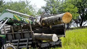 Tractor adds up felled timber into a heap, stock video