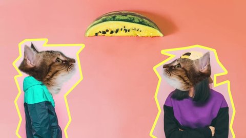 fashion models with the heads of cats watching from a piece of watermelon raining seeds from Vídeo Stock