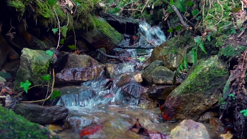 Mountain river, stream, creek with rapids flowing through woods in late autumn, early winter with snow. Bistriski vintgar gorge, Slovenia Royalty-Free Stock Footage #1006572868
