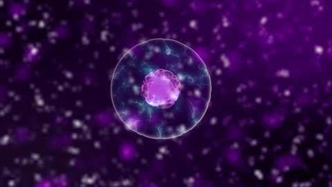microbiology background cell division with, purple blood cells or neon bacteria under microscope, popular scientific background 4K high definition seamless loop, 3840 X 2160