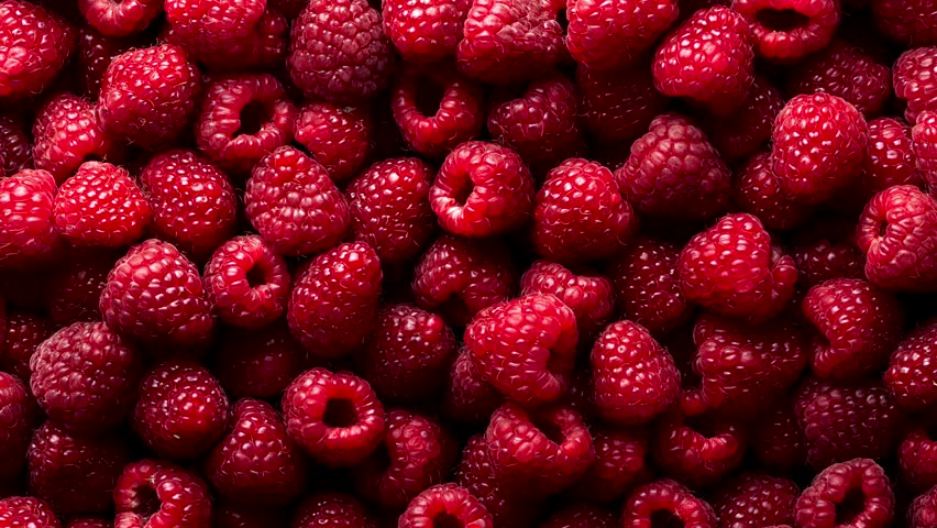 Background of Ripe Raspberries. Zoom Stock Footage Video (100% Royalty ...