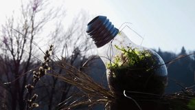 Footage of electric idea bulb with terrarium inside. Earth hour cover video.