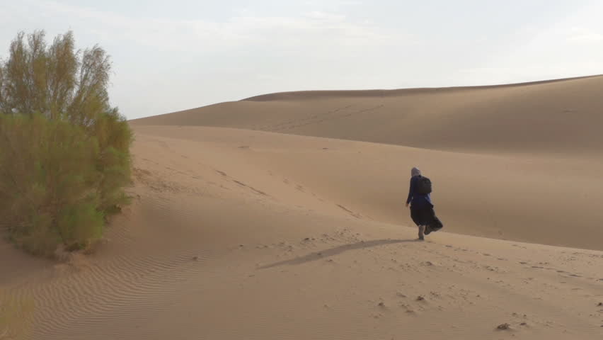 desert, a lonely girl walks along the sand dunes