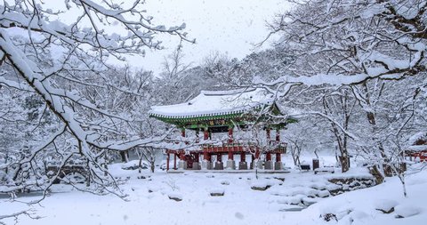 Falling snow at Baekyangsa temple in winter.