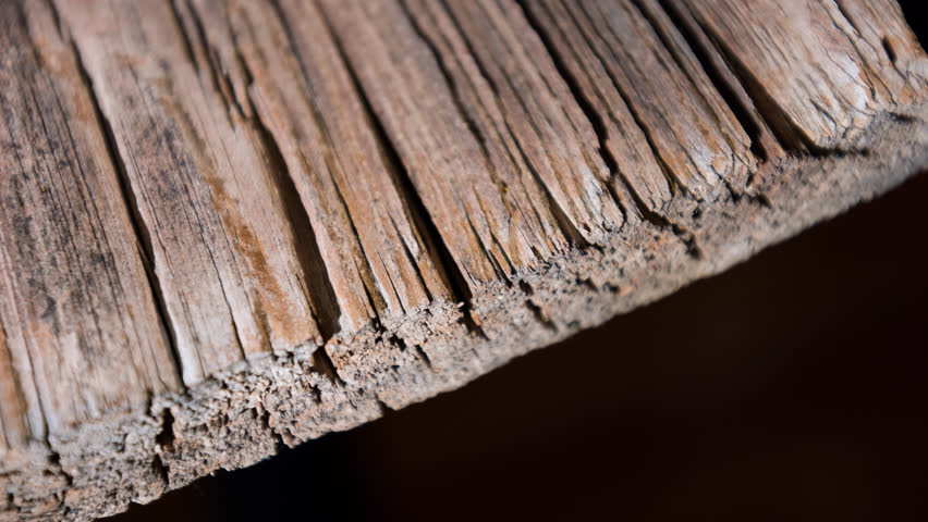 Retro wood weathered texture 4k, a Backgrounds & Wallpaper Video by PabloLagarto