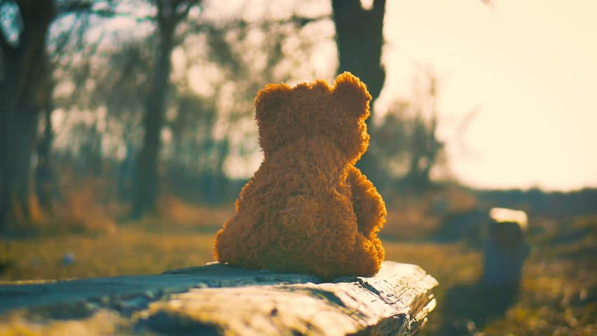 teddy bear alone images