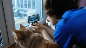 A young man with cats takes a video of birds singing grain on the balcony, 4k