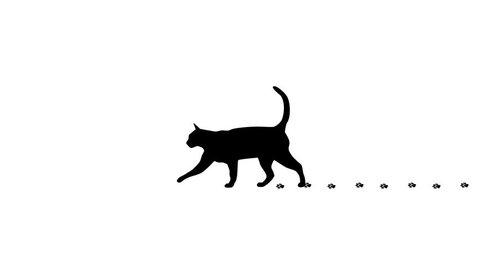 Silhouette Of The Black Cat Video De Stock 100 Libre De Droit Shutterstock