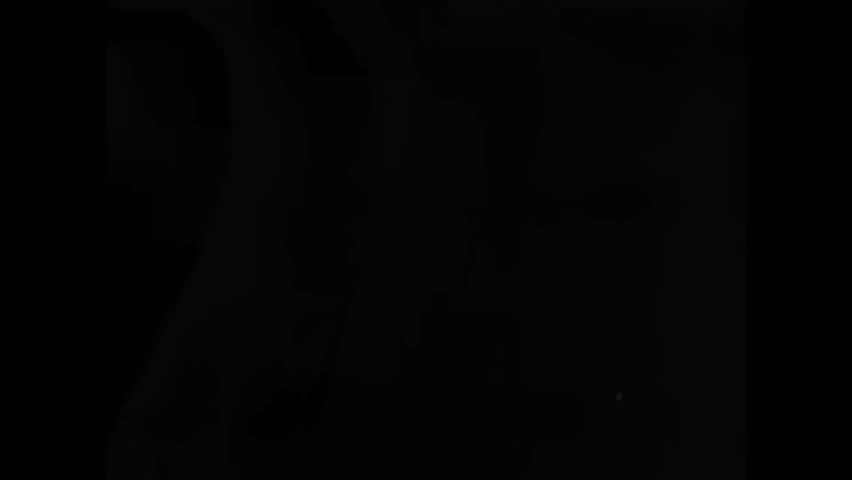 CIRCA 1957\xD1Army units jump from aircraft, and supplies are dropped from planes.