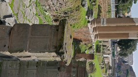 Vertical video. The ruins of the Roman Forum. Rome, Italy 